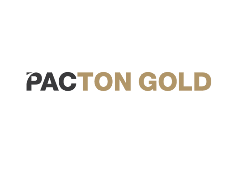DigiGeoData - PactonGold logo