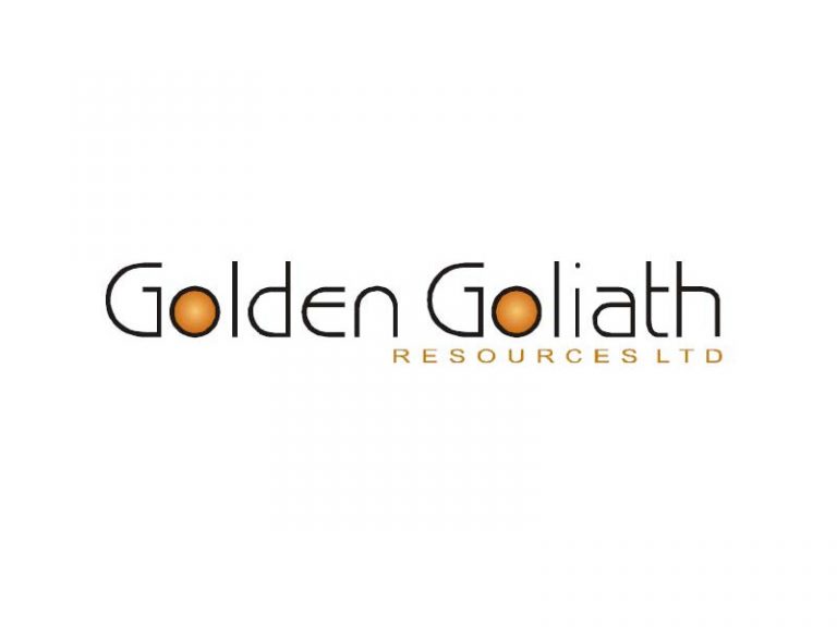 DigiGeoData - golden goliath logo