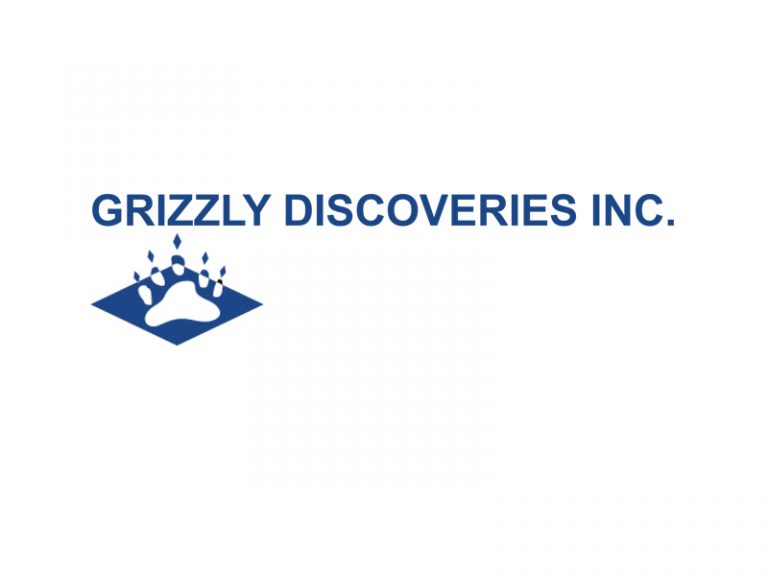 DigiGeoData - grizzly logo