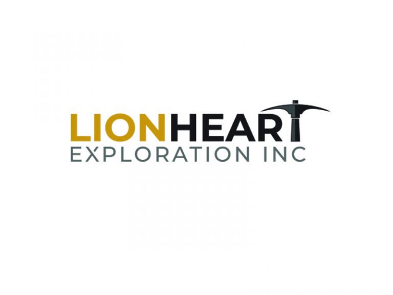 DigiGeoData - lionheart logo