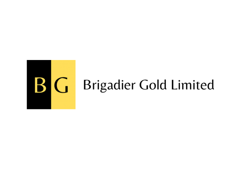 DigiGeoData - brigadier logo