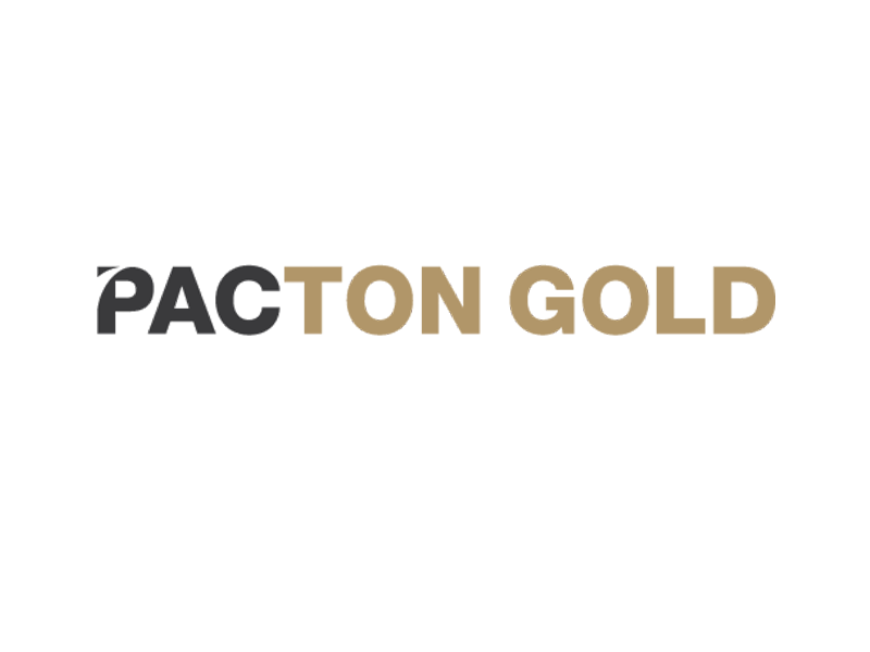 DigiGeoData - PactonGold logo