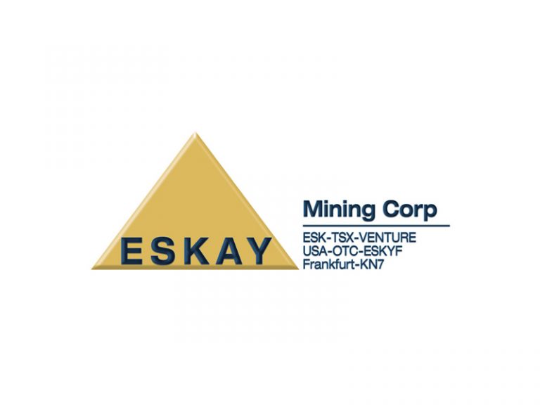 DigiGeoData - eskay logo