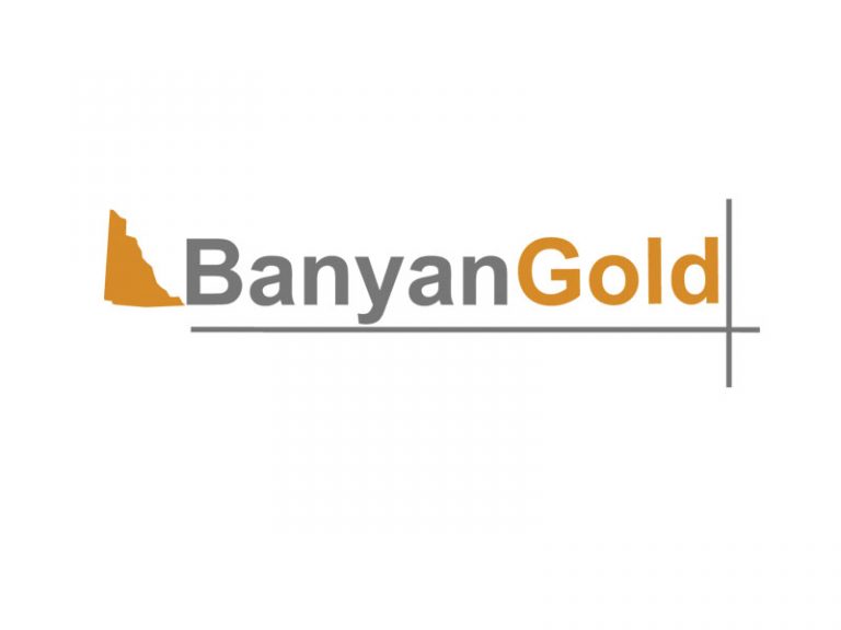 DigiGeoData - banyan logo