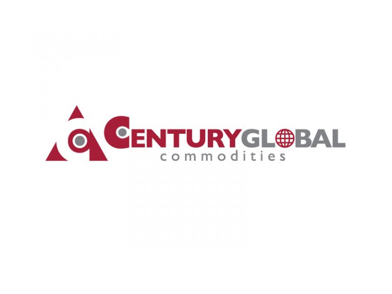 DigiGeoData - century logo