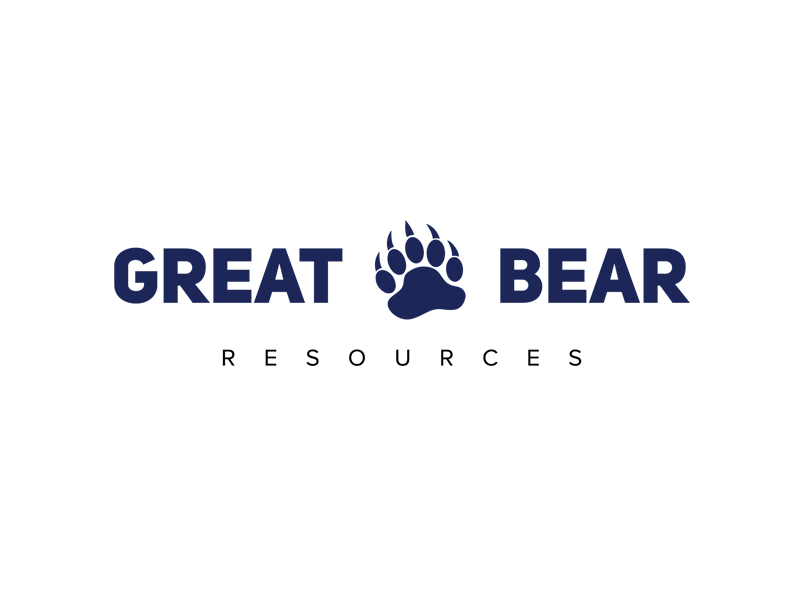 DigiGeoData - great bear logo