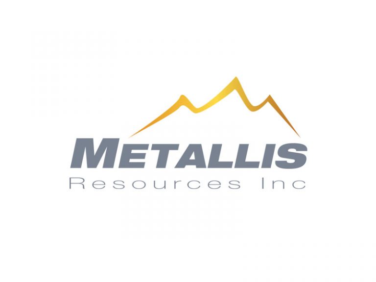 DigiGeoData - metallis logo