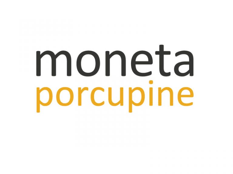 DigiGeoData - moneta logo