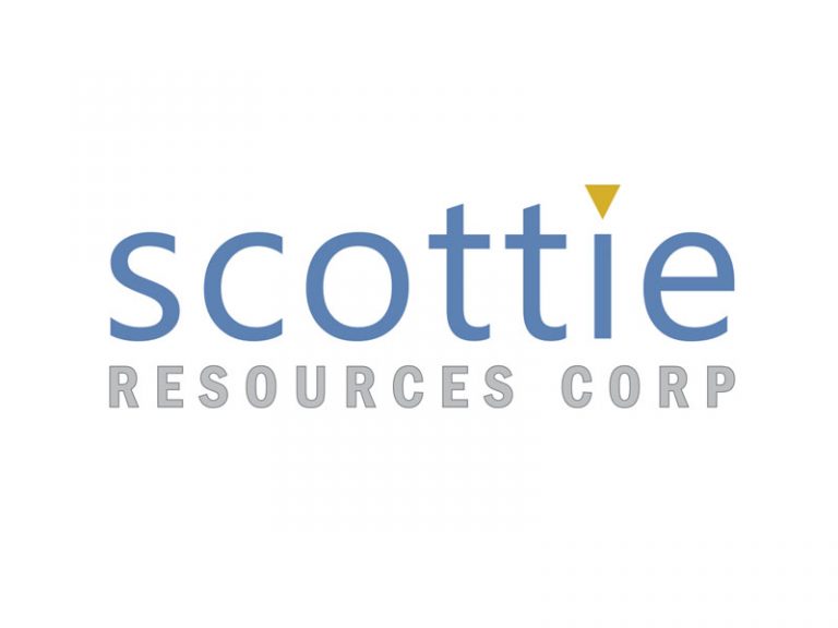 DigiGeoData - scottie logo