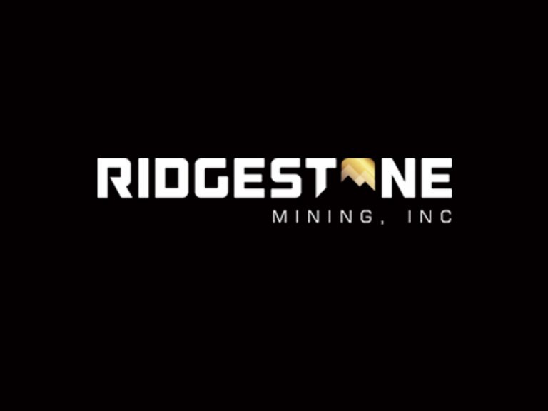 DigiGeoData - riverstone logo