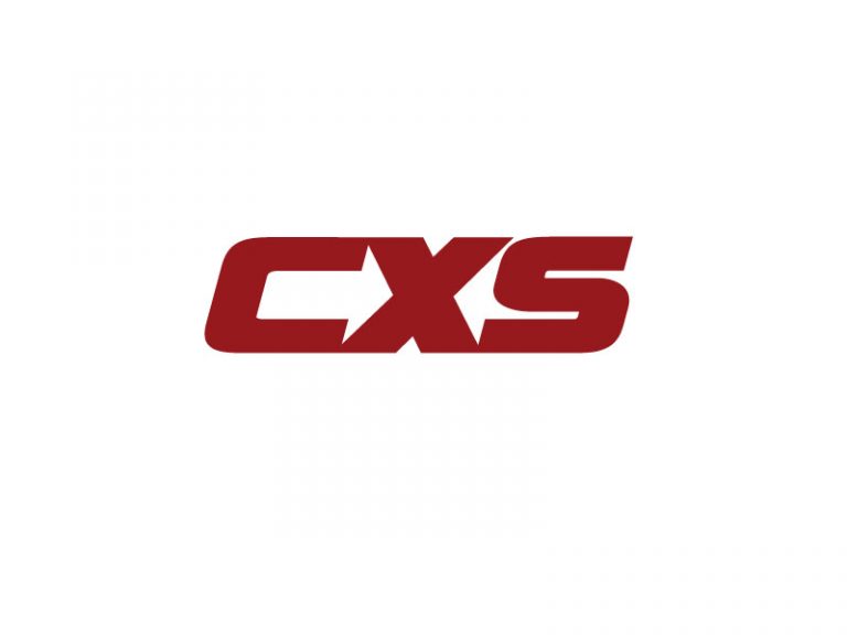 DigiGeoData - cxs logo