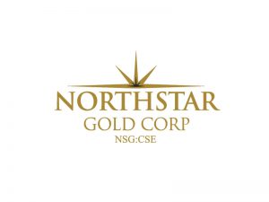 DigiGeoData - northstar logo