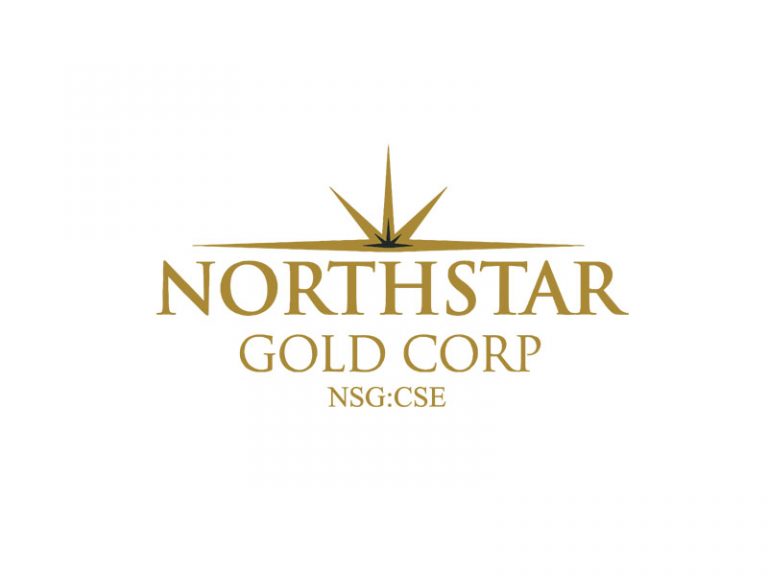 DigiGeoData - northstar logo