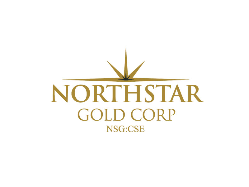 DigiGeoData - northstar logo