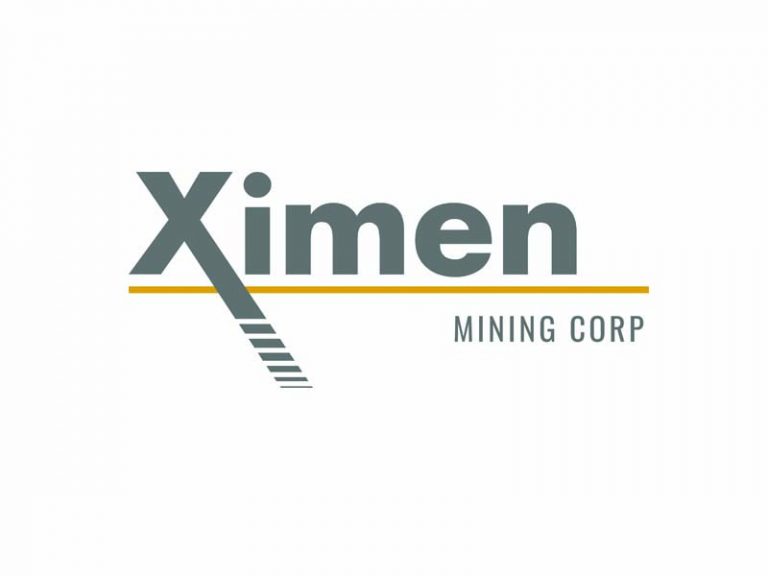 DigiGeoData - ximen logo