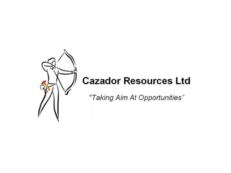 DigiGeoData - cazador logo