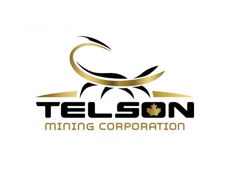 DigiGeoData - telson logo