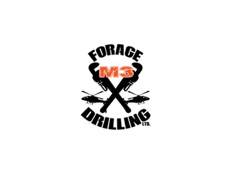 DigiGeoData - forage m3 logo2