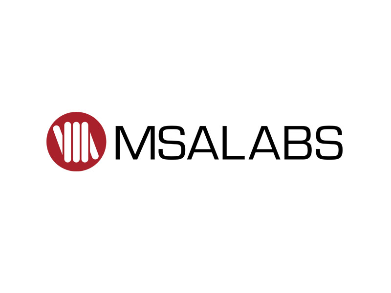 DigiGeoData - msa logo