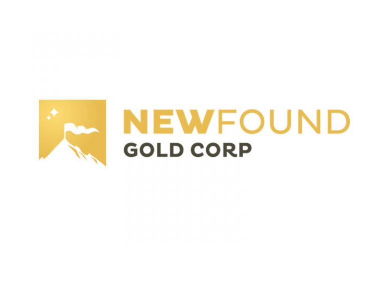 DigiGeoData - new found gold logo