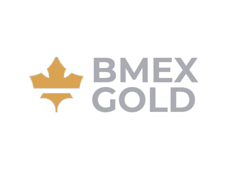 DigiGeoData - bmex logo