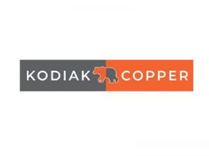 DigiGeoData - kodiak logo