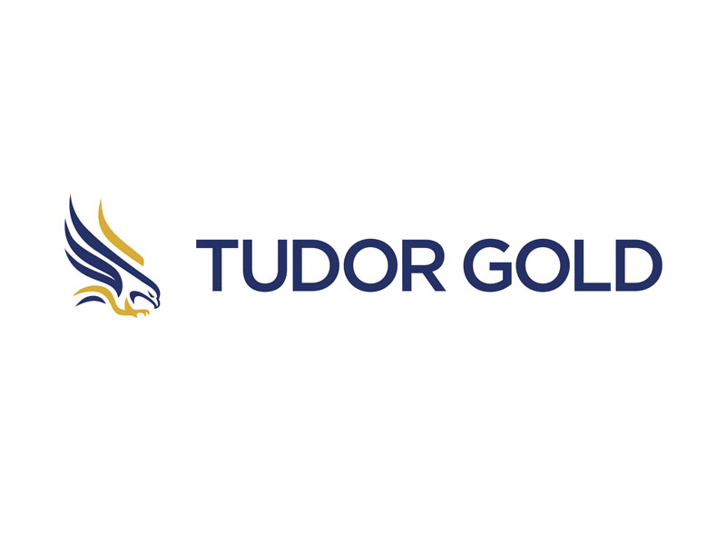 DigiGeoData - tudor logo