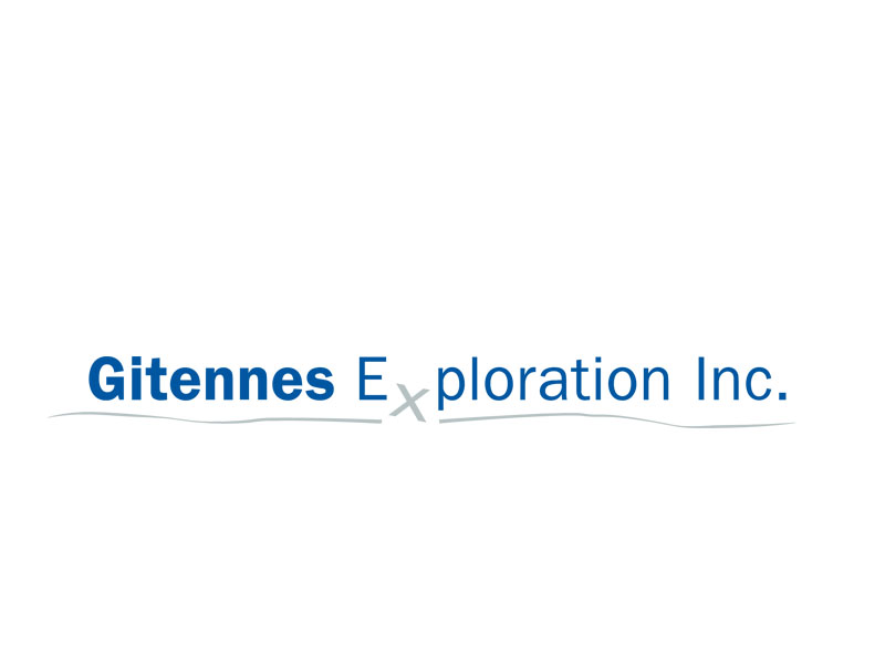 DigiGeoData - gitennes logo