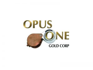 DigiGeoData - opus logo