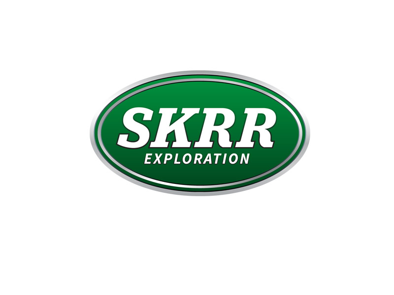 DigiGeoData - skrr logo