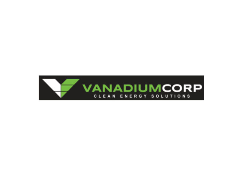 DigiGeoData - vanadium logo