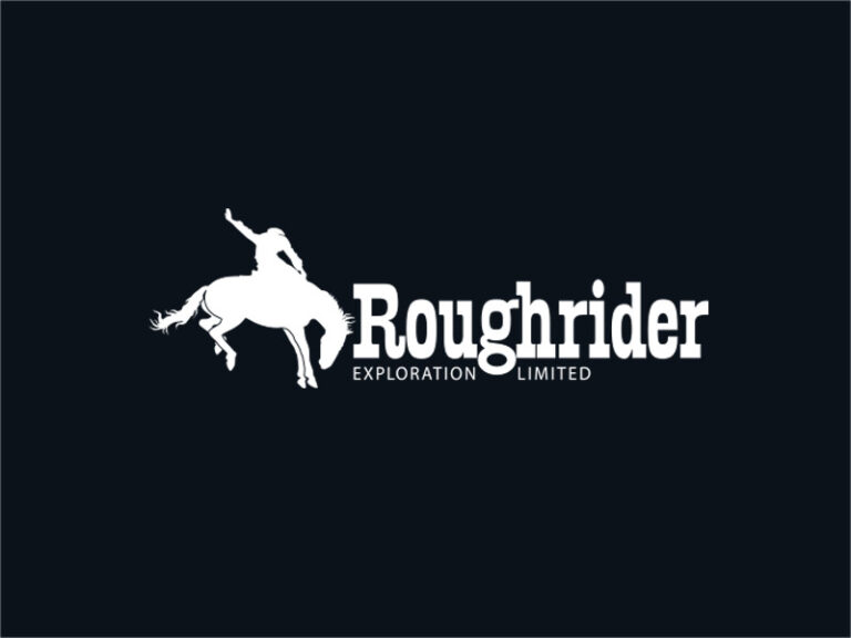 DigiGeoData - roughrider logo