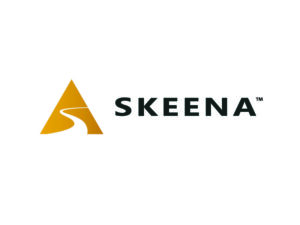 DigiGeoData - skeena logo