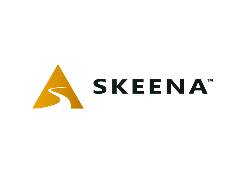 DigiGeoData - skeena logo