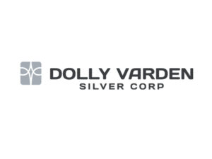 DigiGeoData - dollo varden logo