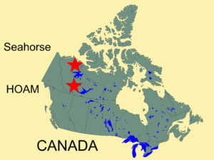 DigiGeoData - Olivut Resources Ltd Canada Map Two Projects TalWS19013