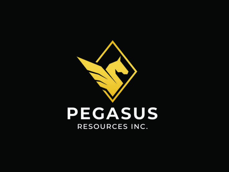 DigiGeoData - Pegasus Logo 3