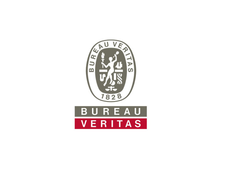 DigiGeoData - Bureau Veritas logo