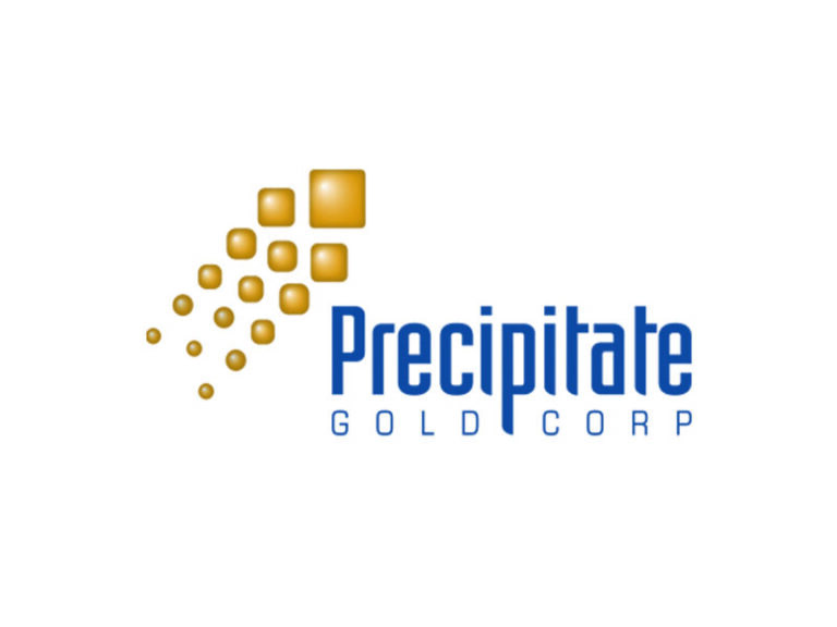 DigiGeoData - Precipitate Logo